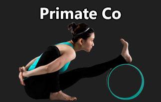 Primate Co Review – The Fitness Products To Regain Your Posture