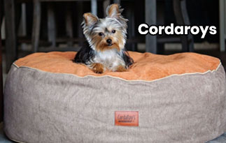CordaRoy’s Review – The Special Beans Bags & Pet Beds