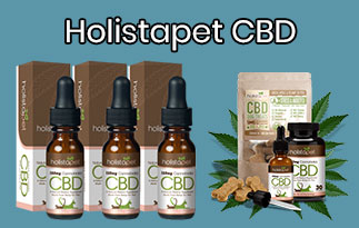 Holistapet Review – The Best CBD Treats For Your Pets