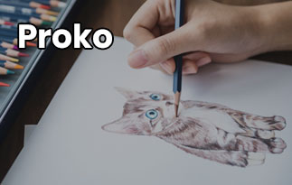Proko Review – Drawing Courses & Interesting Tutorials