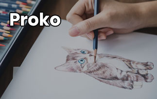 proko figure drawing fundamentals training course proko figure drawing fundamentals training course