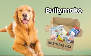 Bullymake Review – Toughest Toys & Treats For Your Pets