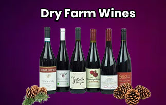 Dry Farm Wines Review – Enjoy Beautiful Nights With High-Quality Natural Wines