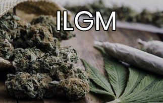 ILGM Review – The Best Collection Of Marijuana Seeds