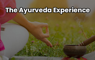 The Ayurveda Experience | Upgrade Your Lifestyle Beauty Products