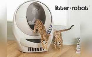 Litter-Robot Review | A Hi-Tech Self-Cleaning Litter Box