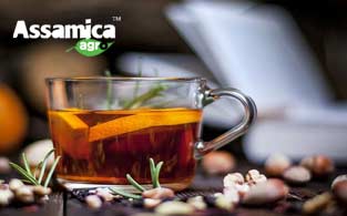 Assamica Agro Review | The Best Organic Green Tea for Sipping