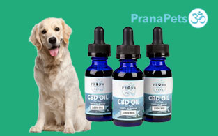 Prana Pets Review | Holistic CBD Oils for Your Loved Pets