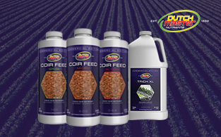 Dutch Master Nutrients Review | Powerful Plant Fertilizers for Crops