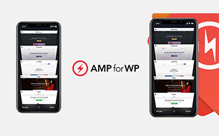 6 Best Reasons To Choose AMP For WP