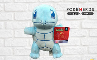 PokeNerds Review | Get Best Products of Pokemon Playing Kit