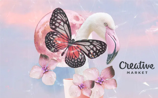 Creative Market Review | Discover The Perfect And Quality Resources From Famous Artists