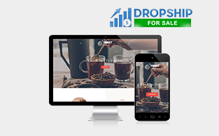 Dropship For Sale Review | Customized and Pre-Made Stores for Online Dropshipping Businesses