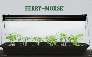 Ferry-Morse Review| Live Baby Plants and Flower Seeds for Home Gardening