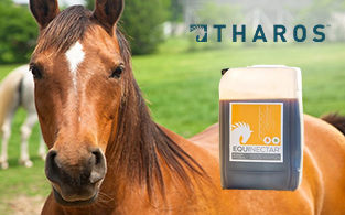 Tharos Review | Natural Feed Supplement for Horses and Pigeons