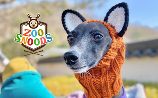 Zoo Snoods Review | Order Hand-Made Zoo Snoods Of Different Animals