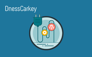 Dness Carkey Review – Offers Useful and Cost-effective WordPress Plugins