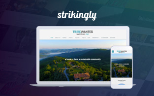 Strikingly Review | Build Your Website With Suitable Customizations