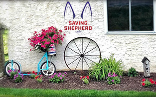 Saving Shepherd – Premium Wooden Products Store Crafted By Expert Craftsmen