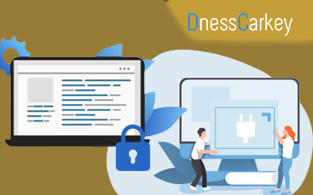 DnessCarkey Review – Simple And Easy To Use Premium WordPress Plugins