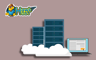 Hawkhost Review – A Reliable Web Hosting and Domain Service Provider