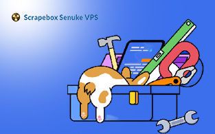 Scrapebox Senuke VPS – A Doorstep to Your Marketing and Hosting Needs